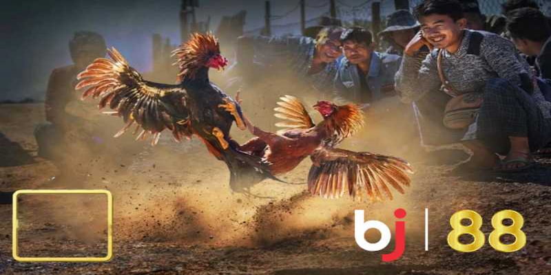 Tỷ lệ cược linh hoạt và hấp dẫn dựa trên tình hình