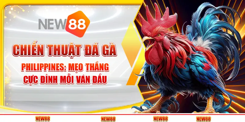 Chiến Thuật Đá Gà Philippines: Mẹo Thắng Cực Đỉnh Mỗi Ván Đấu