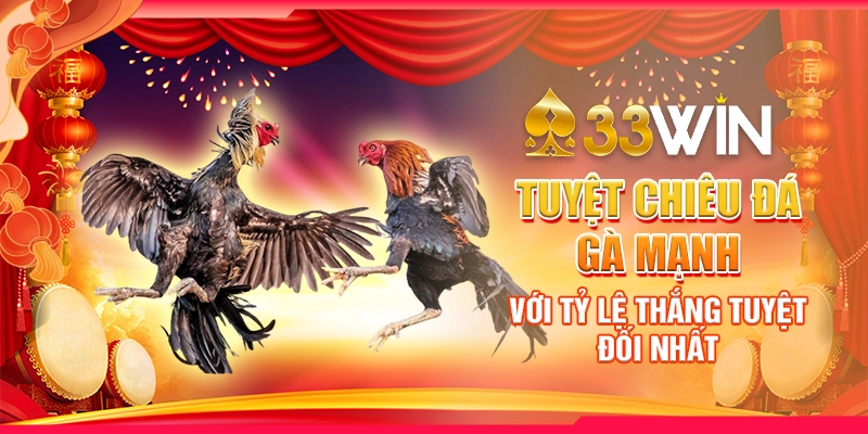 Tuyệt chiêu đá gà mạnh với tỷ lệ thắng tuyệt đối nhất