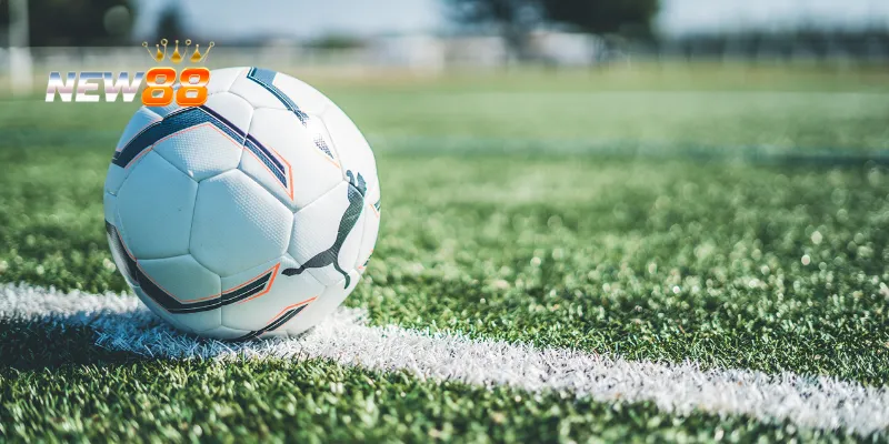 Chiến lược cá cược hiệu quả cho AFF Cup