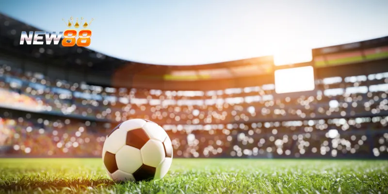 Cập nhật về chấn thương cầu thủ.