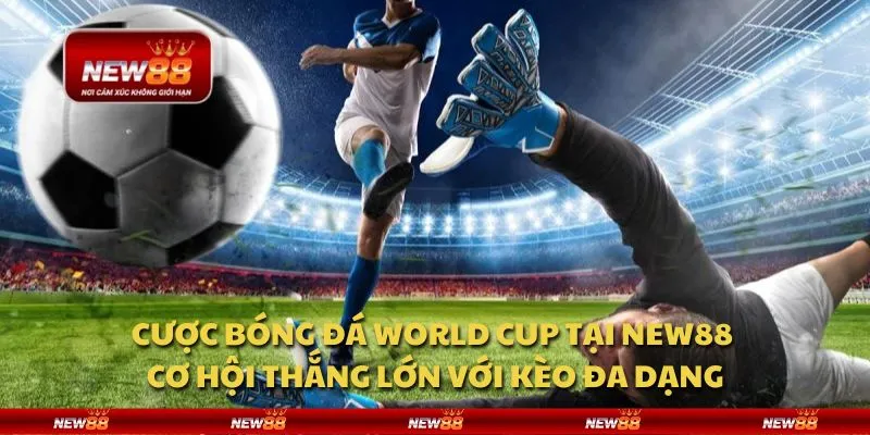 Cược bóng đá World Cup tại New88 - Cơ hội thắng lớn với kèo đa dạng