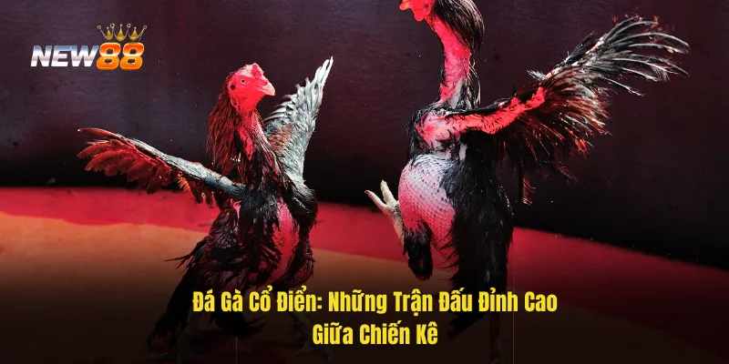 Đá gà cổ điển