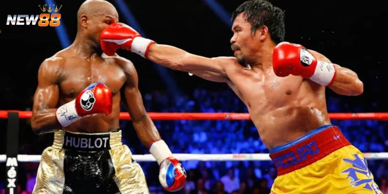 Một số thông tin về cá cược boxing