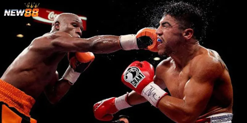 Mẹo cá cược boxing thắng lớn từ cao thủ