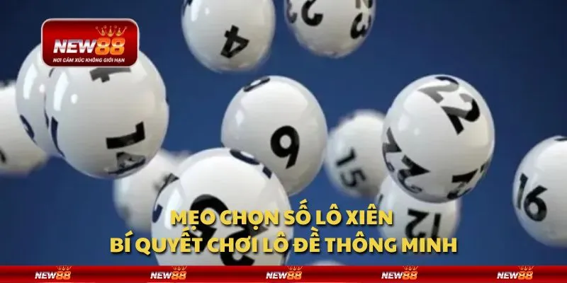 Mẹo chọn số lô xiên - Bí quyết chơi lô đề thông minh