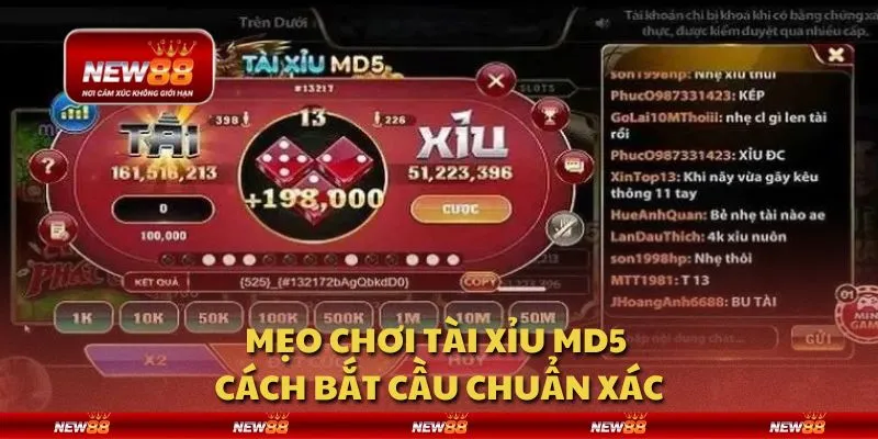 Mẹo chơi tài xỉu MD5 - Cách bắt cầu chuẩn xác