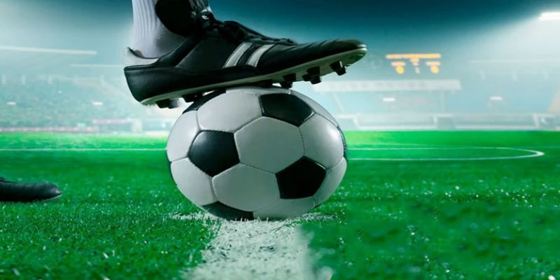 Tổng hợp các yếu tố cần phân tích 