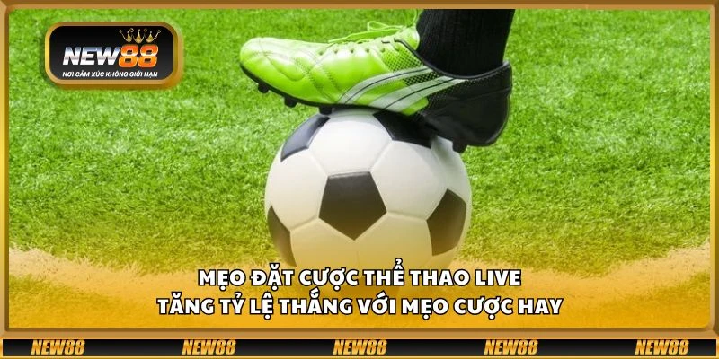 Mẹo đặt cược thể thao live - Tăng tỷ lệ thắng với mẹo cược hay
