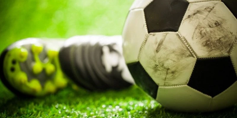 Khám phá các trò chơi thể thao cược live phổ biến