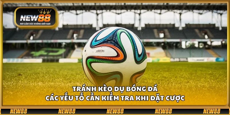 Tránh kèo dụ bóng đá - Các yếu tố cần kiểm tra khi đặt cược