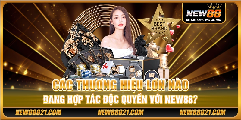 Các thương hiệu lớn nào đang hợp tác độc quyền với New 88?
