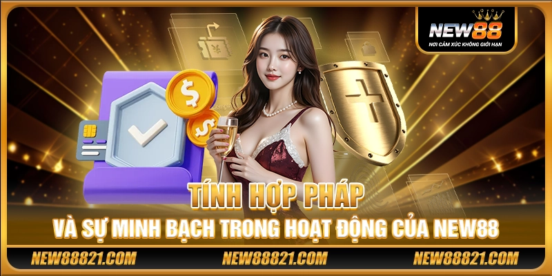 Tính hợp pháp và sự minh bạch trong hoạt động của New88
