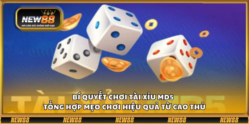 Bí quyết chơi tài xỉu MD5 - Tổng hợp mẹo chơi hiệu quả từ cao thủ