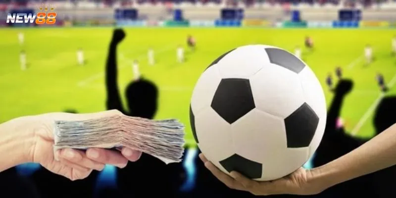 Khám phá các dữ liệu cần phân tích để soi kèo 