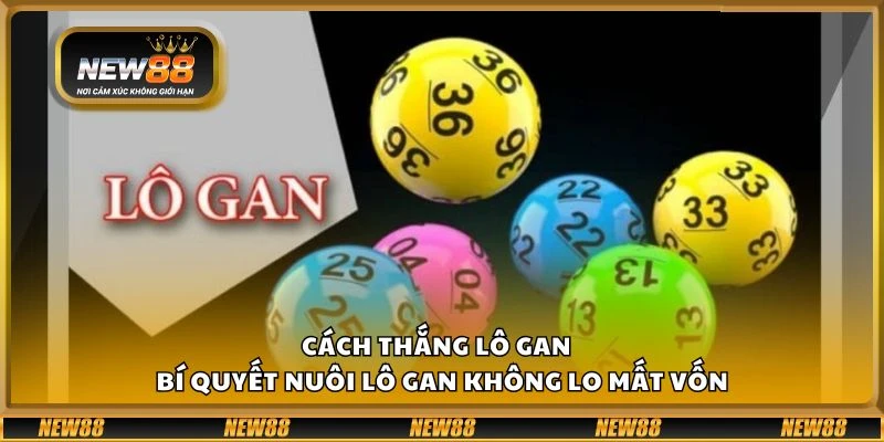 Cách thắng lô gan tại New88 - Bí quyết nuôi lô gan không lo mất vốn