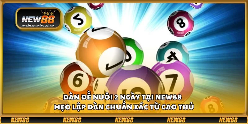 Dàn đề nuôi 2 ngày tại New88 – Mẹo lập dàn chuẩn xác từ cao thủ