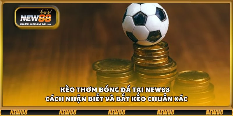 Kèo thơm bóng đá tại New88 - Cách nhận biết và bắt kèo chuẩn xác