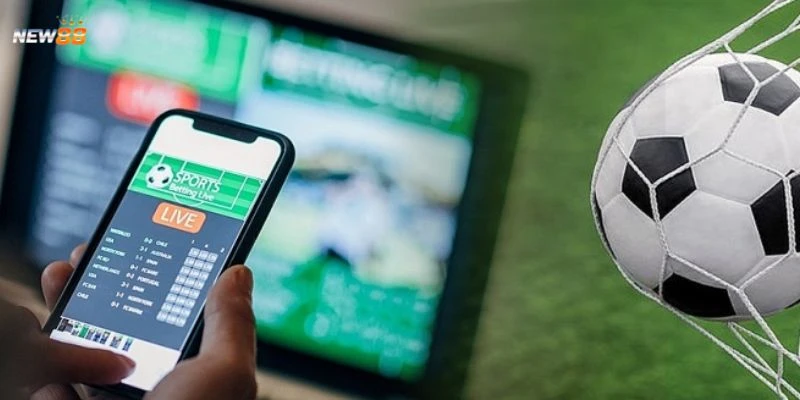 Mẹo cược bóng đá tỷ lệ cao hiệu quả nhất