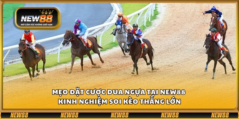 Mẹo đặt cược đua ngựa tại New88 - Kinh nghiệm soi kèo thắng lớn
