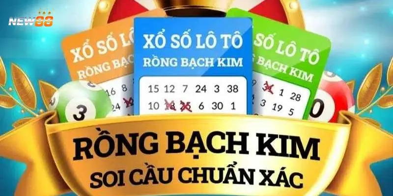 Tìm hiểu về soi cầu Rồng Bạch Kim 