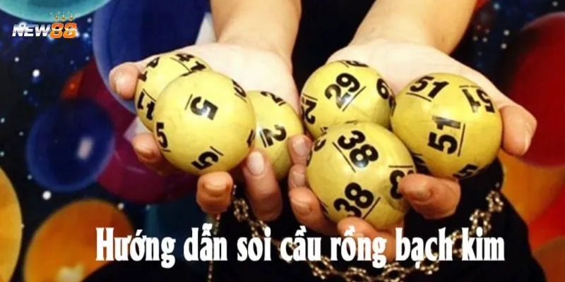 Bí quyết bắt cầu Rồng Bạch Kim hiệu quả