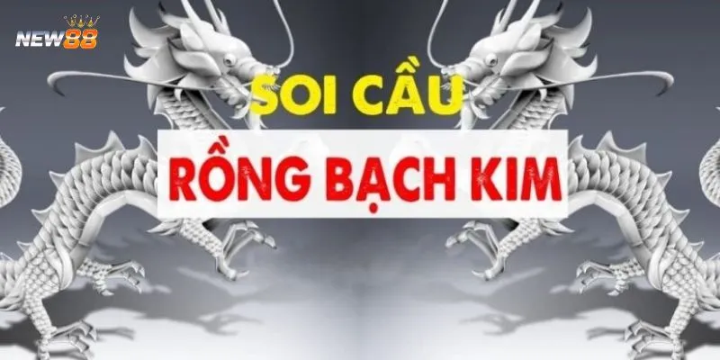 Cách soi cầu Rồng Bạch Kim hiệu quả