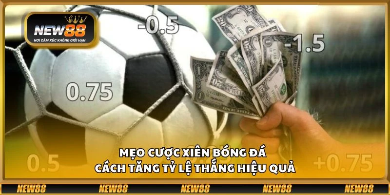 Mẹo cược xiên bóng đá - Cách tăng tỷ lệ thắng hiệu quả